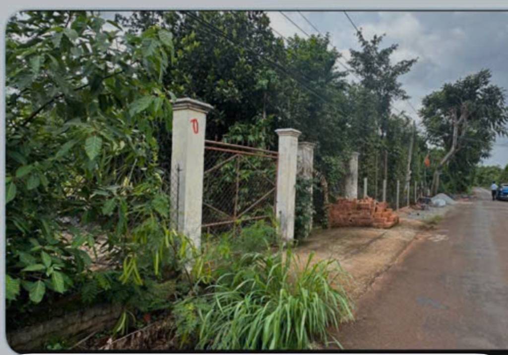 Bán Nhà 3300m2 ấp Phú Bình, Xã Hòa Hiệp, Huyện Xuyên Mộc, Bà Rịa - Vũng Tàu